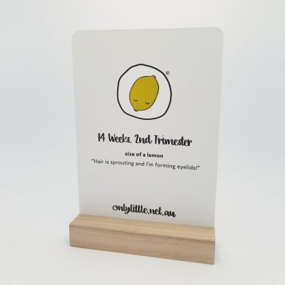 Pregnancy Milestone Cards With Oak Wood Block Holder - Only Little